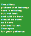 The pillow
picture that belongs 
here is missing 
but not lost 
and will be back 
almost as soon 
as I have 
decided to act. 
Thankyou 
for your patience.